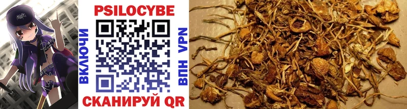 Галлюциногенные грибы MAGIC MUSHROOMS Туапсе