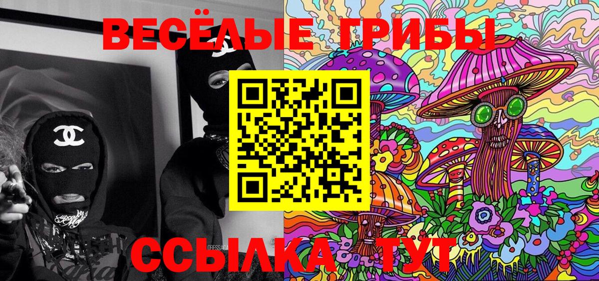 Галлюциногенные грибы Cubensis  цена наркотик  Туапсе  Псилоцибиновые грибы Cubensis  Вход с VPN 