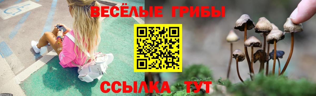 Псилоцибиновые грибы Psilocybine cubensis Туапсе